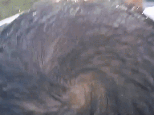 ਸਥਾਨਕ ਪ੍ਰਸ਼ਾਸਨ ਉਸ ਦਾ ਸਵਾਗਤ ਕਰਦੇ ਸਮੇਂ ਜਦੋਂ ਰਾਜਪਾਲ ਸ਼੍ਰੀ ਕਰਤਾਰਪੁਰ ਸਾਹਿਬ ਲਾਂਘੇ ਦੇ ਕੋਰੀਡੋਰ ਪਹੁੰਚਿਆ.