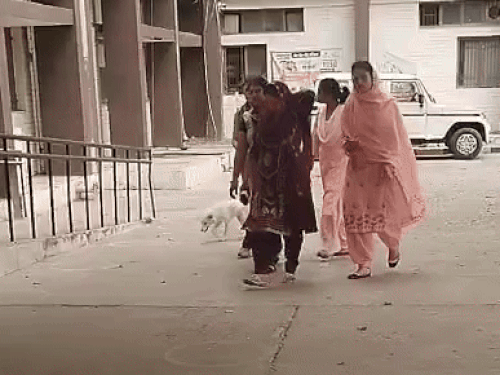 ਡੀਸੀ ਤੋਂ ਪਹਿਲਾਂ ਰਤਨ ਦੇ ਕੋਂਸਲਿਸ਼ ਪ੍ਰੇਸ਼ਾਨ ਕਰਨ ਵਾਲੇ