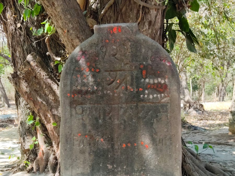 Hanuman ji was worshipped under the banyan tree with due rituals
