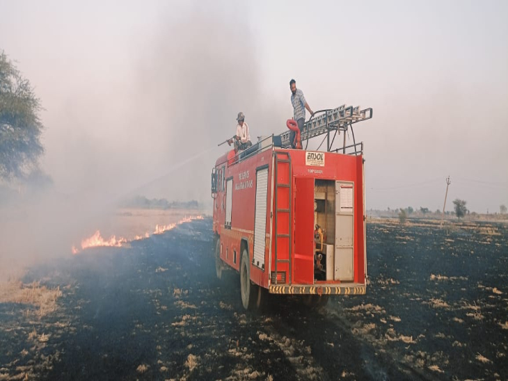 Massive fire erupts in Mukundara Tiger Reserve, brought under control ...