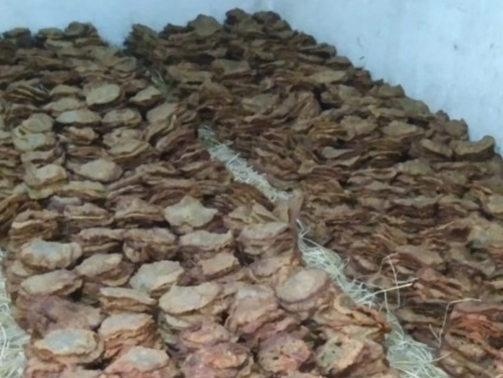 जैतूसाव मठ में 1100 किलो मालपुआ का भोग लगाया जाएगा।