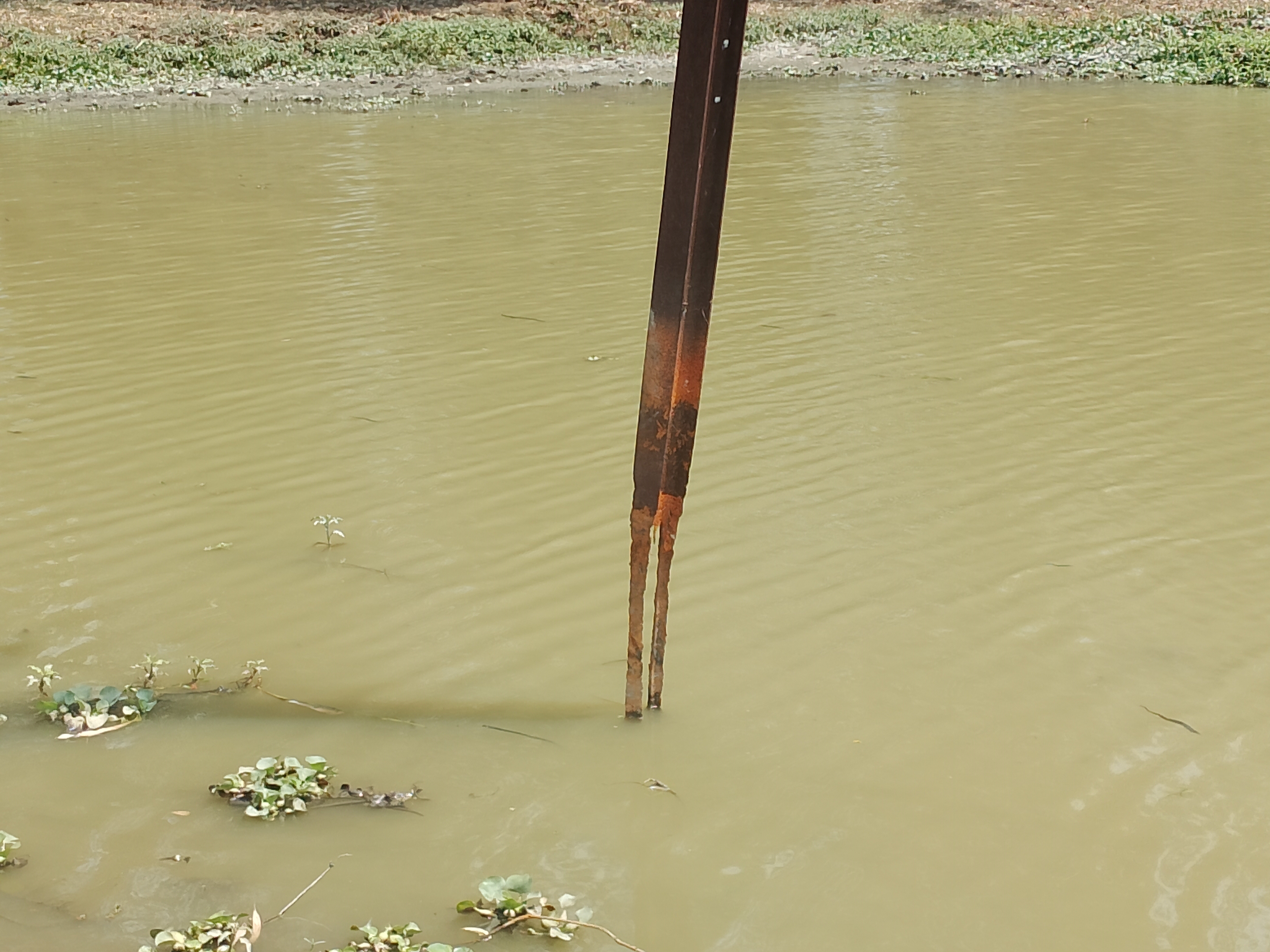 The dilapidated electric pole in Bandhuakalan has not been replaced ...