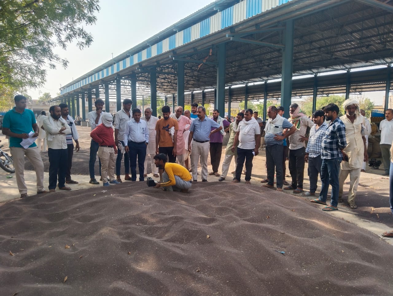 ਨੰਗਲ ਚੌਧਰੀ ਮੰਡੀ ਵਿਚ ਅਧਿਕਾਰੀ ਪੜਤਾਲ ਕਰ ਰਹੇ ਅਧਿਕਾਰੀ.