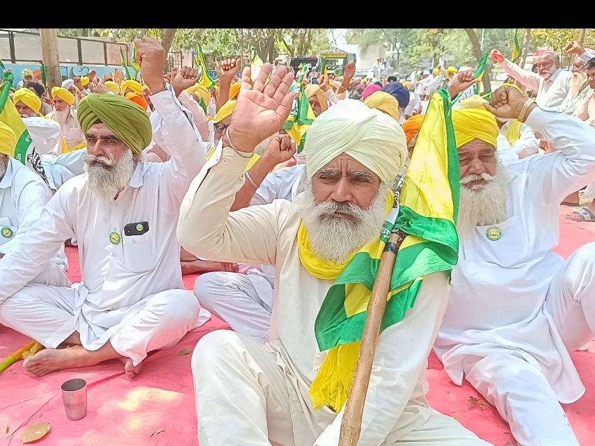 मानसा में प्रदर्शन करते किसान। - Dainik Bhaskar