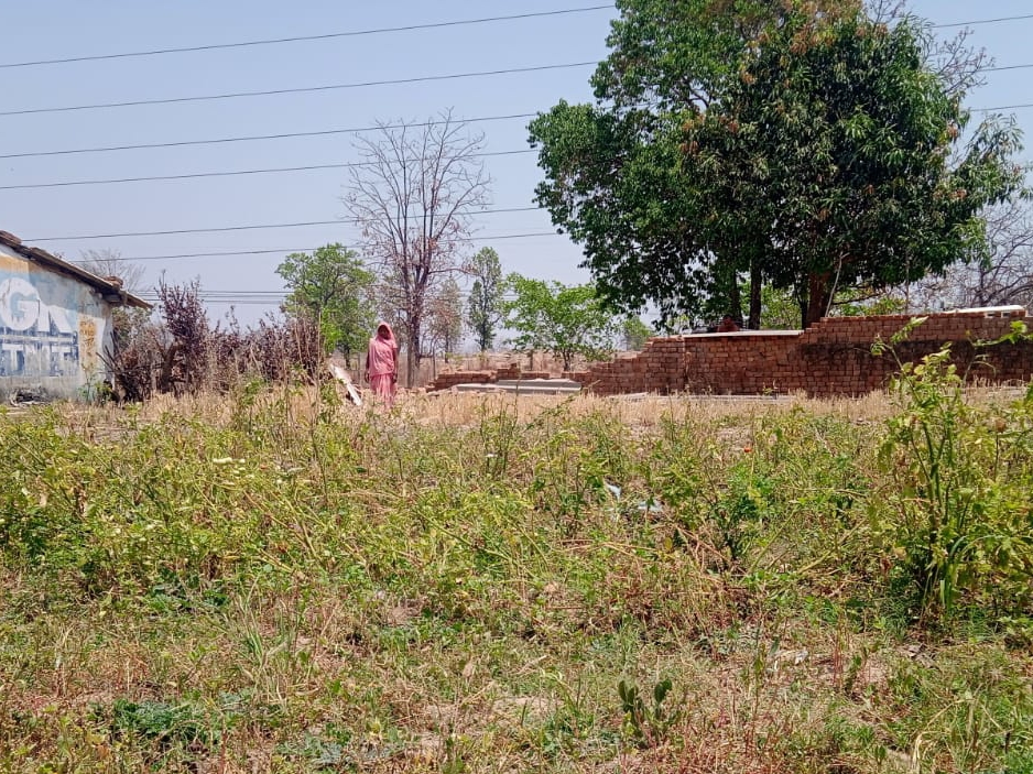 फुलसर, रोदे और कोदवारी गांव में हाथी का उत्पात देखने को मिल रहा है