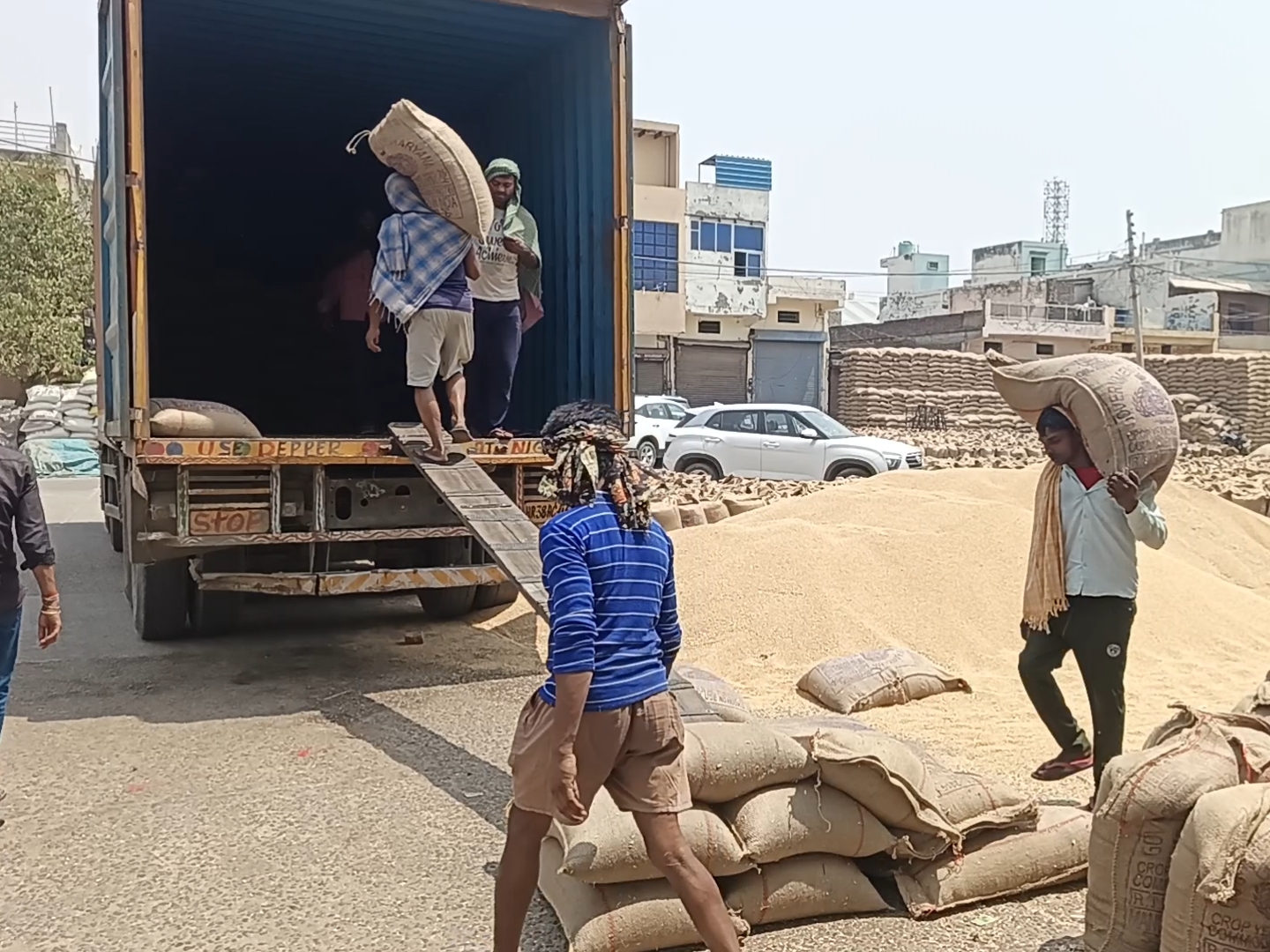 फसल को ट्रक में लोड करते मजदूर।