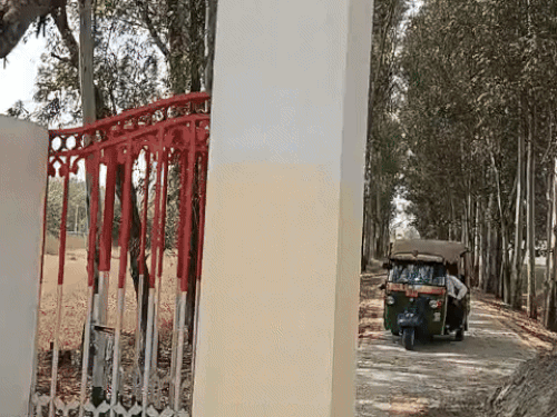 स्कूल के बाहर करवाया गया ताजा पेंट।