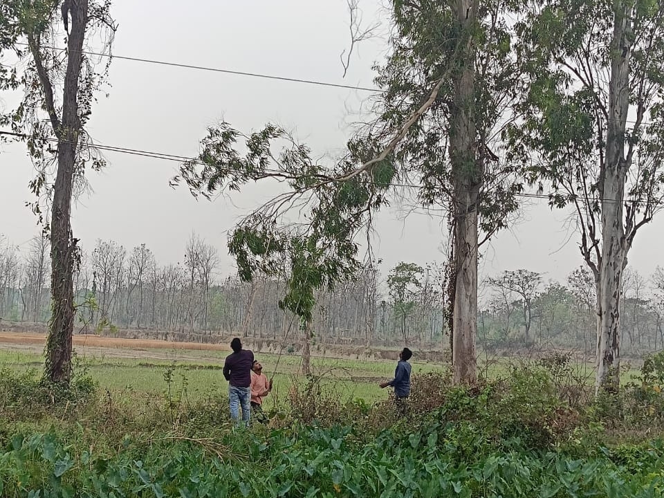 Strong wind and rain wreak havoc in Kushinagar