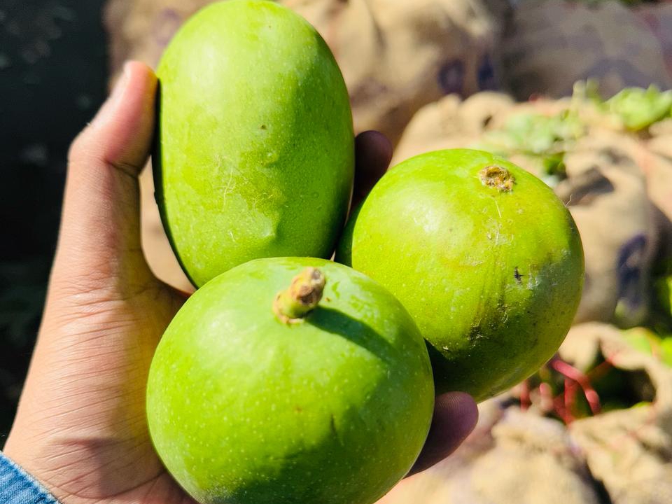 लोकल केरी की मार्च- अप्रैल तक आवक तेज रहती है।