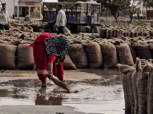 ਸੋਨੀਪਤ ਦਾ ਬਾਜ਼ਾਰ ਮੀਂਹ ਤੋਂ ਬਾਅਦ ਹੜ੍ਹ ਆਇਆ ਸੀ