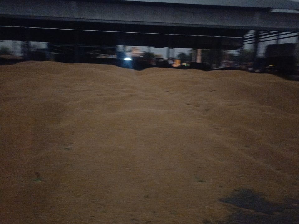 ਮੰਡਰੀ ਵਿਚ ਹਜ਼ਾਰਾਂ ਕੁਇੰਟਲ ਕਣਕ ਮੀਂਹ ਵਿਚ ਭਿੱਜੀਆਂ ਜਾਣਗੀਆਂ.