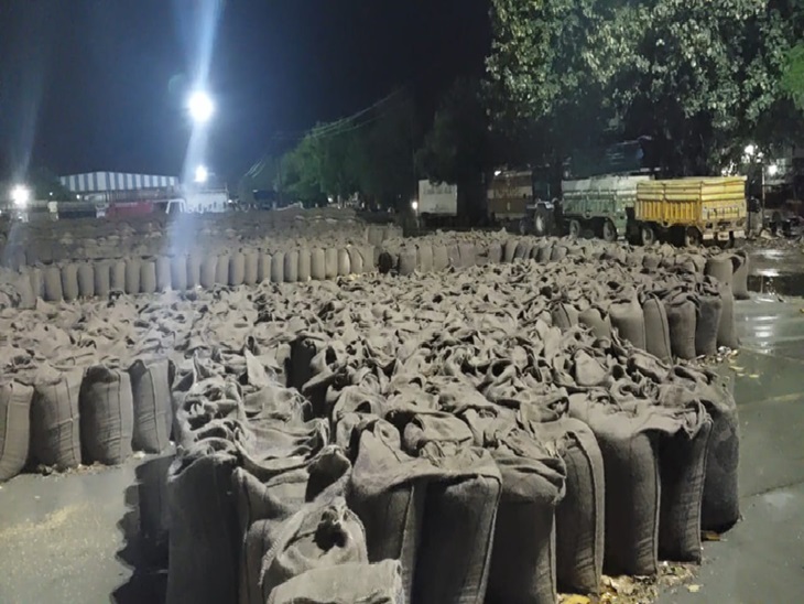 ਐਂਜਾਮਾਂਡੀ ਵਿਚ, ਕਣਕ ਵਿਚ ਕਣਕ ਭਿੱਜ ਗਈ.