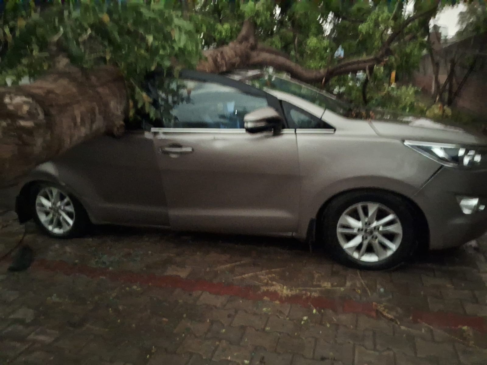 ਰਖੀਆਂ ਤੂਫਾਨਾਂ ਕਾਰਨ ਰੁੱਖ ਖੜੀ ਕਾਰ 'ਤੇ ਡਿੱਗ ਪਿਆ. ਕਾਰ ਬੁਰੀ ਤਰ੍ਹਾਂ ਨੁਕਸਾਨੀ ਗਈ ਹੈ.