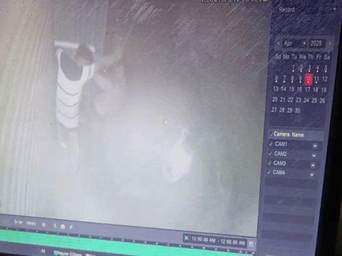 मारपीट करते हुए हमलावर सीसीटीवी में कैद। - Dainik Bhaskar