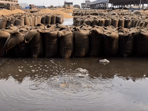 ਮੰਡੀ ਪ੍ਰਸ਼ਾਸਨ ਦੇ ਦਾਅਵਿਆਂ ਅਤੇ ਜ਼ਮੀਨ ਦੀ ਸੱਚਾਈ ਦੇ ਦਾਅਵਿਆਂ ਵਿਚ ਅੰਤਰ