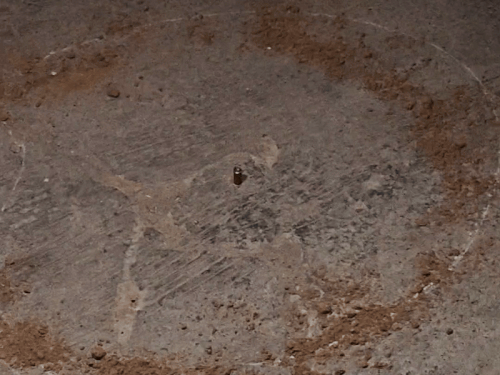 ਘਟਨਾ ਦੇ ਦ੍ਰਿਸ਼ ਤੋਂ ਖੋਲ੍ਹੋ