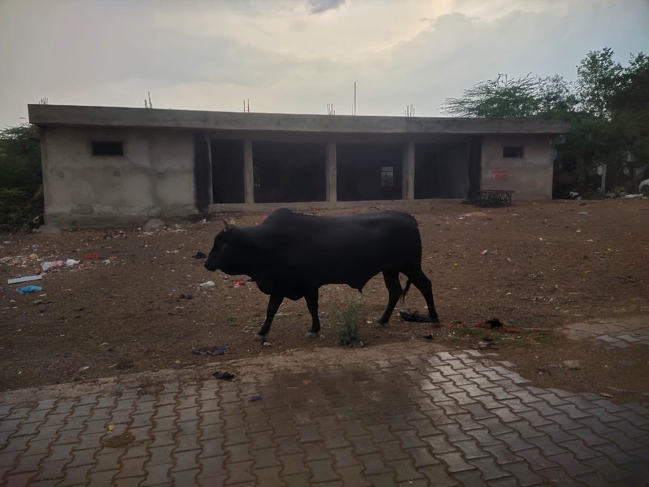 ਤਖਤੀਆਂ ਜਾਨਵਰ ਕਮਿ Community ਨਿਟੀ ਸੈਂਟਰ ਦੇ ਬਾਹਰ ਘੁੰਮਦੇ ਹਨ
