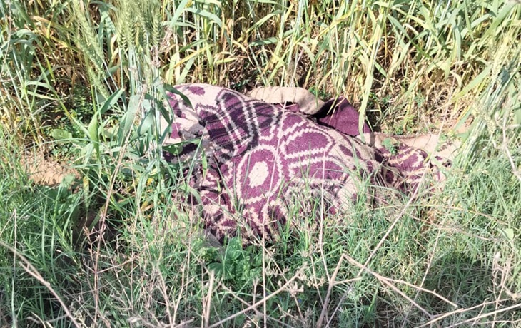 ਇਹ ਤਸਵੀਰ 11 ਮਾਰਚ ਤੋਂ ਹੈ. Woman ਰਤ ਦਾ ਸਰੀਰ ਕਣਕ ਦੇ ਖੇਤਰ ਵਿੱਚ ਕੰਬਲ ਵਿੱਚ ਲਪੇਟਿਆ ਗਿਆ ਸੀ.