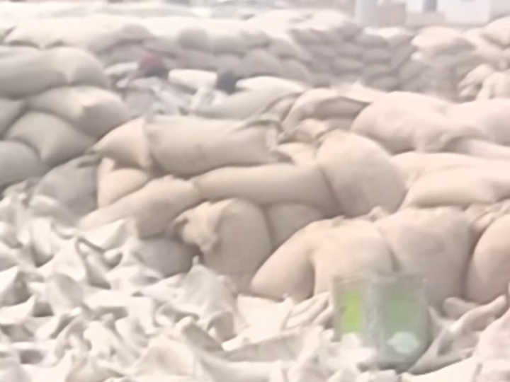 मंडी में रखे गेहूं के कट्टे - Dainik Bhaskar