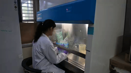 आईआईटी बीएचयू के लैब में हुआ शोध।