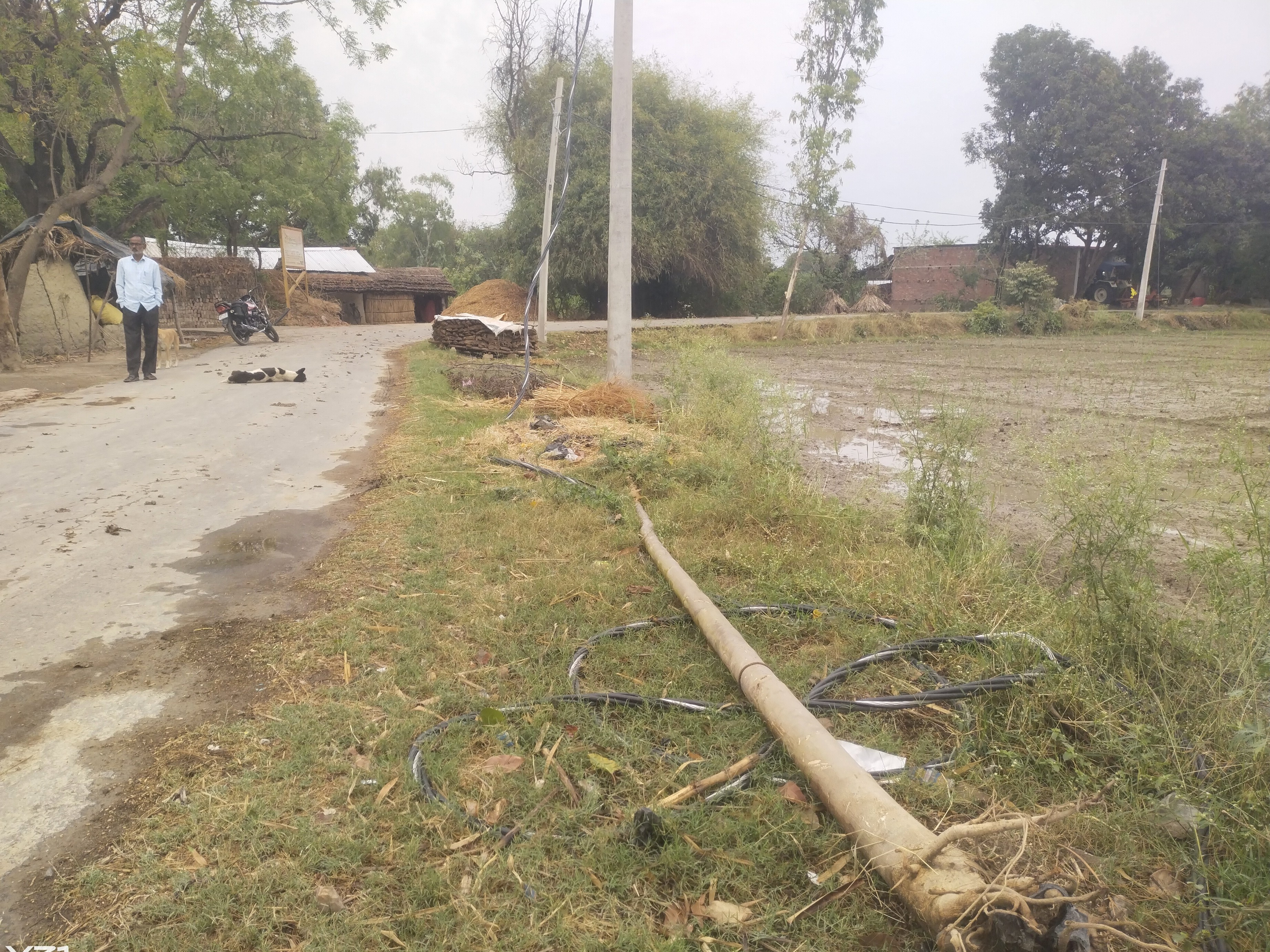 Broken electric pole in Dharampur poses a risk