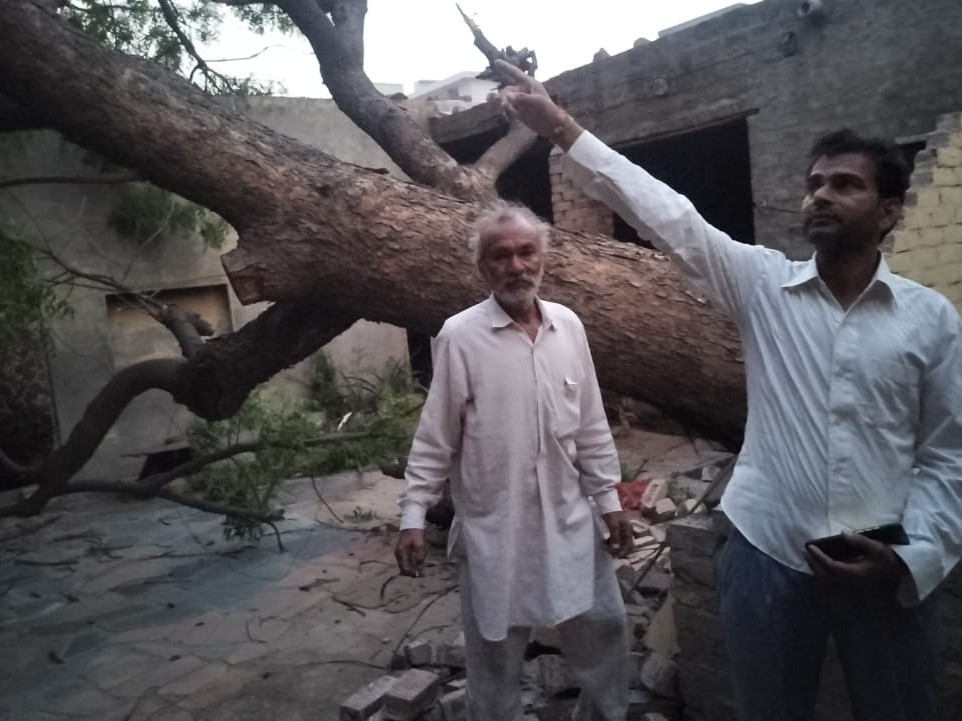 गिरे पेड़ को दिखाते हुए पीड़ित।