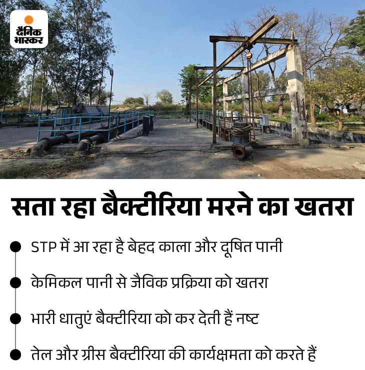 ਬੈਕਟਰੀਆ ਨੂੰ ਮਰਨ ਦੇ ਖ਼ਤਰੇ ਵਿੱਚ ਹਨ, ਫਿਰ ਵੀ ਮਿ municipal ਂਸਪਲ ਕਾਰਪੋਰੇਸ਼ਨ ਮਾਮਲੇ ਨੂੰ ਹੱਲ ਨਹੀਂ ਕਰ ਸਕਿਆ