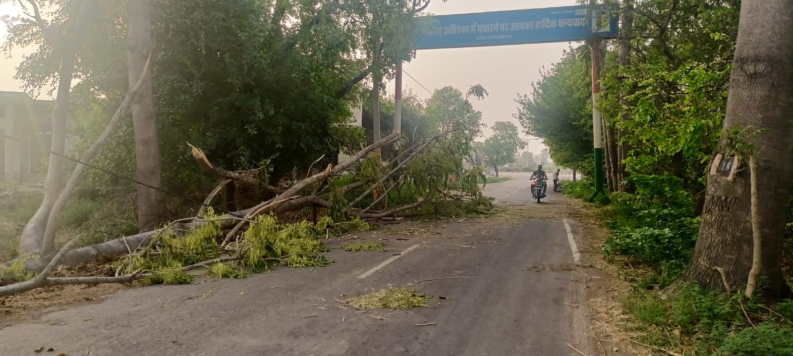 तेज आंधी के बाद सड़कों पर टूट कर गिरे पेड़।