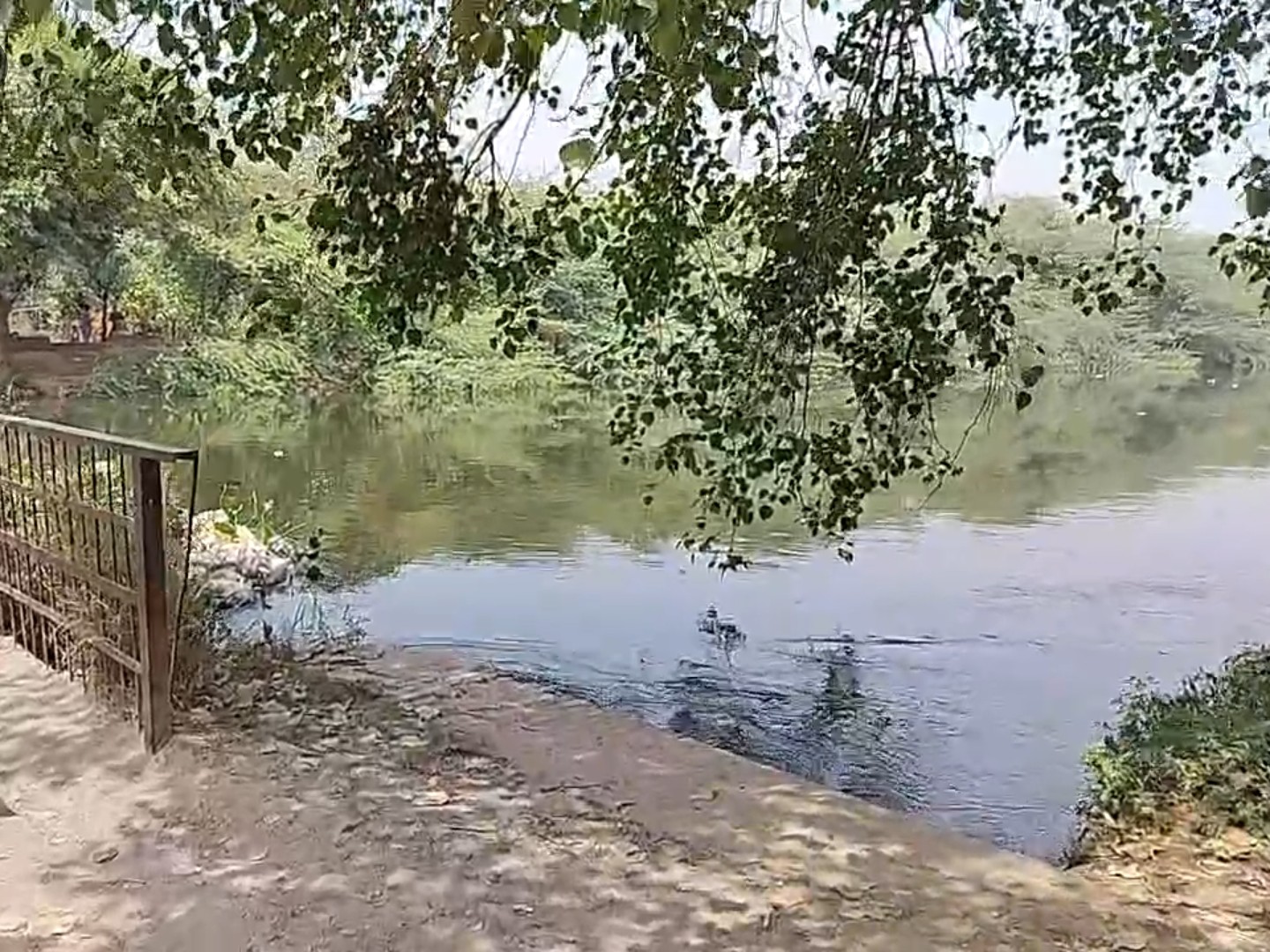 आगरा नहर में इसी जगह से शव बरामद हुआ है।