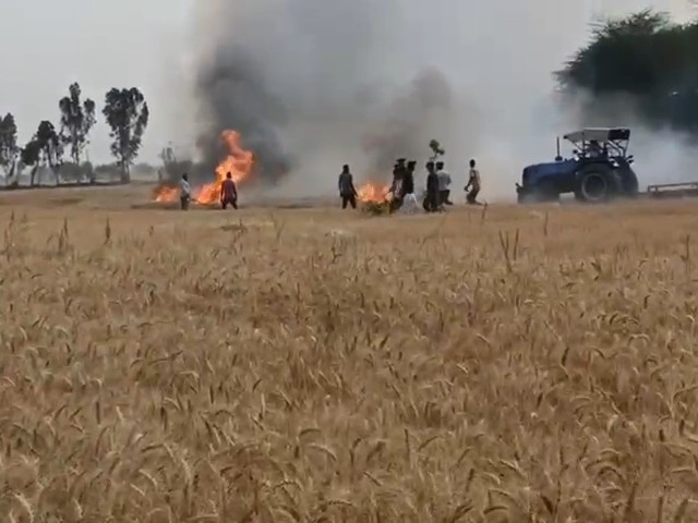 गेहूं की फसल में आग, ट्रैक्टर की मदद से काबू पाते हुए लोग। - Dainik Bhaskar