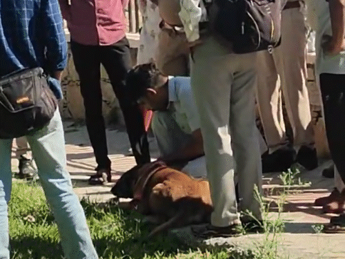 तस्वीर, 19 अप्रैल की है। जब हत्या के बाद पुलिस ने डॉग स्क्वॉड और FSL टीम की मदद से मौके से सबूत जुटाए थे।