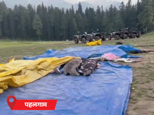 एक तस्वीर पहलगाम टेररिस्ट अटैक में मारे गए पर्यटकों की है। दूसरी उरी की है, जिसमें घुसपैठ कर रहे आतंकवादी को सेना ने मार गिराया। - Dainik Bhaskar
