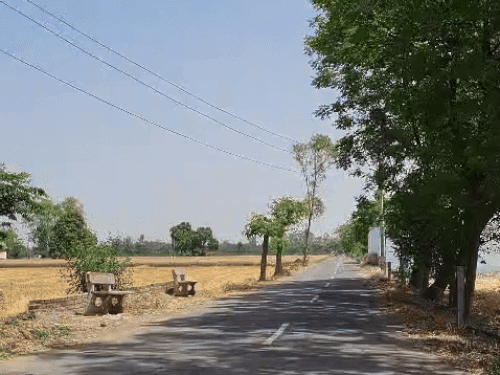 पंजाब में आज आसमान साफ रहेगा व धूप खिलेगी। - Dainik Bhaskar