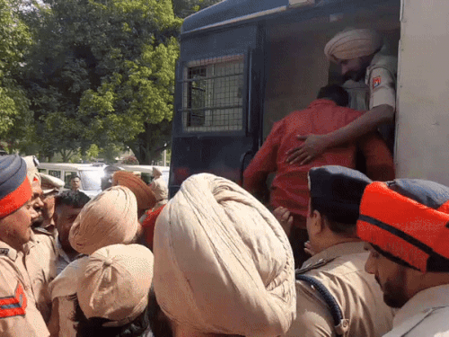 मंगलवार को पीएयू में धरने दौरान कर्मचारियों को हिरासत में लेती पुलिस। (फाइल शाट) - Dainik Bhaskar