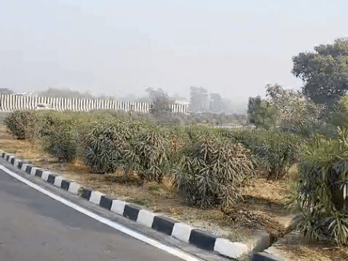 पंजाब में आज धूप खिलेगी और तापमान में बढ़ौतरी भी देखने को मिलेगी। - Dainik Bhaskar