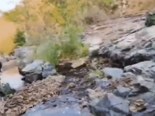 During the climb on the hill, young men quench their thirst from the waterfall present there.
