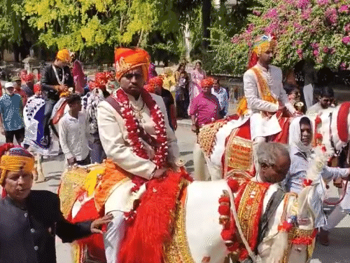 रतलाम में सामूहिक विवाह से पहले दूल्हों का चल समारोह निकाला गया।