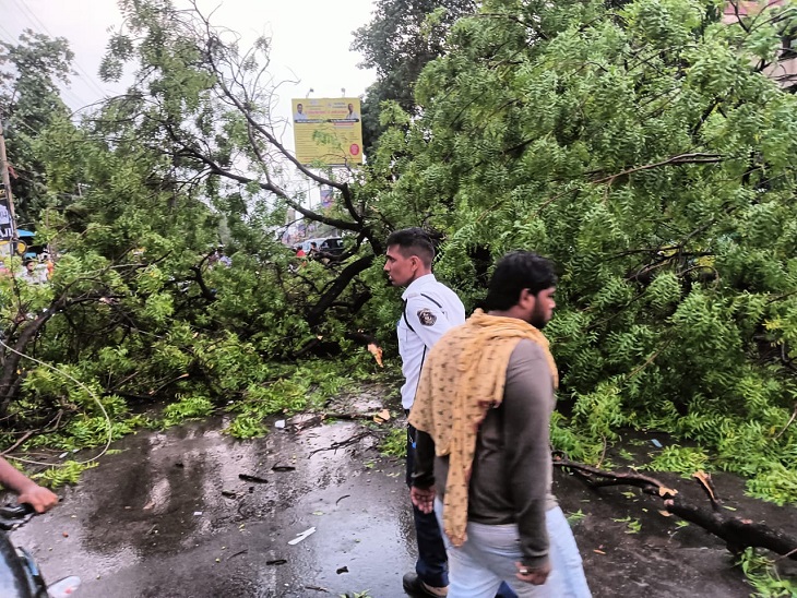 पेड़ में गिरा बड़ा पेड़, उसे हटाते हुए लोग और ट्रैफिक पुलिस के जवान।