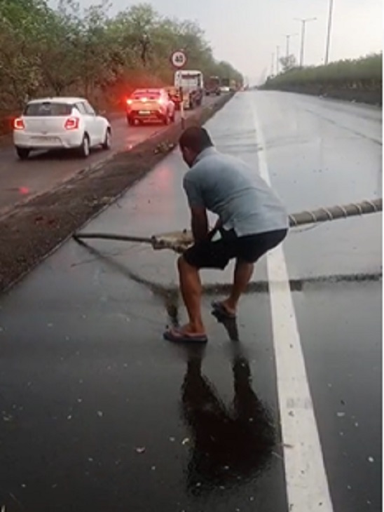 सड़क में गिरा स्ट्रीट लाइट का पोल