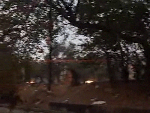 तेज आंधी तूफान से अवंति विहार में पेड़ गिरा।