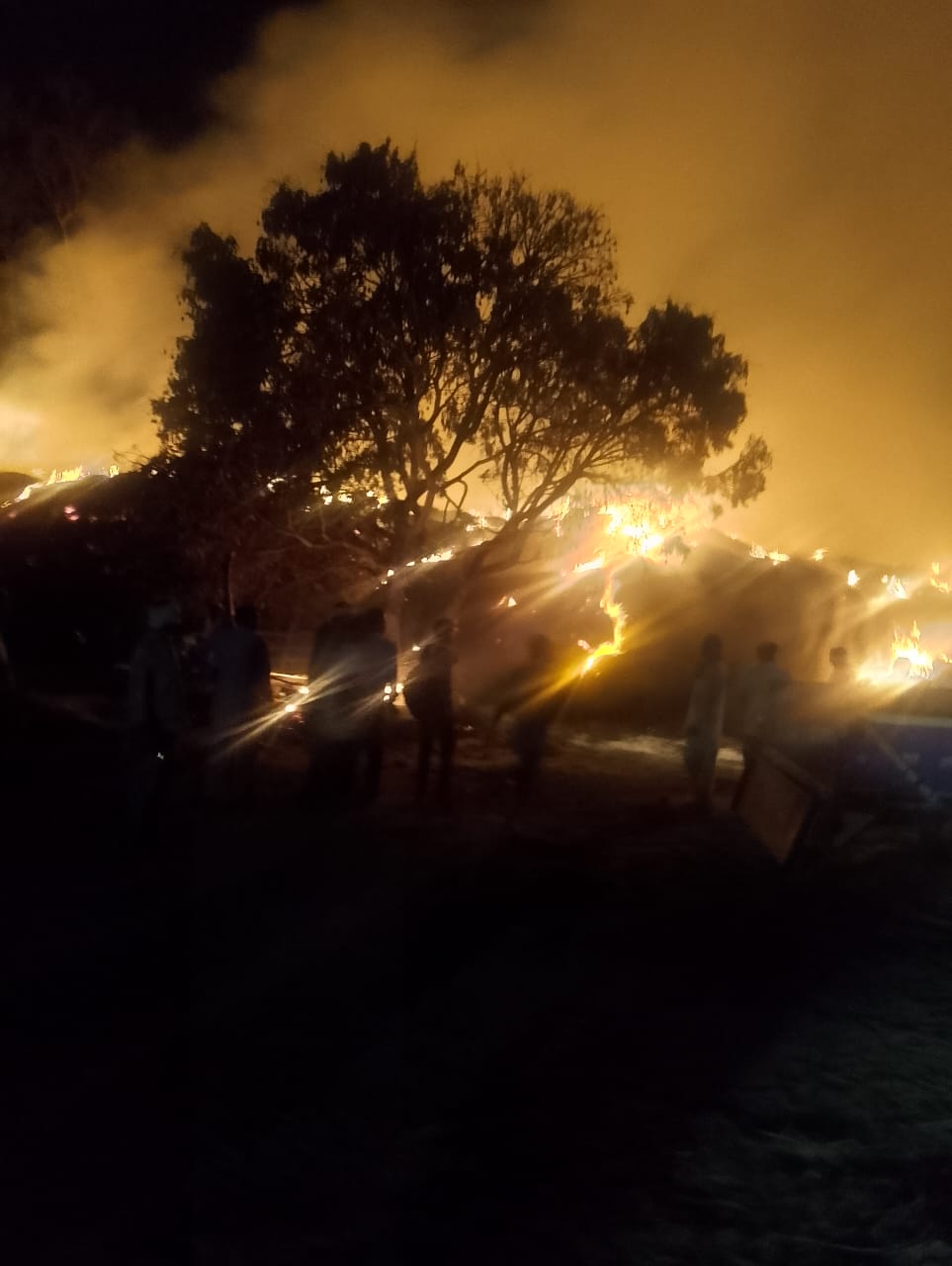 Fire Trader 700 acres of collected stubble caught fire, trader suffered losses ...