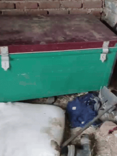 संदूक, जिसमें लाश मिली।