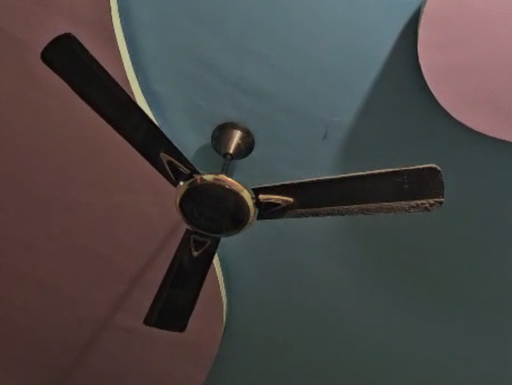 लोगों ने पंखा हिलते देखा। जमीन में कंपन महसूस किया। घबराकर घर से बाहर भागे। - Dainik Bhaskar