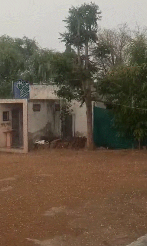 सीकर में दोपहर बाद आंधी चली और बारिश हुई।