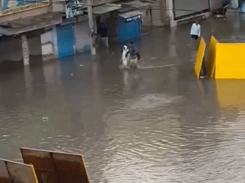 सीकर में रविवार शाम हुई तेज बारिश से सड़कों पर पानी भर गया।