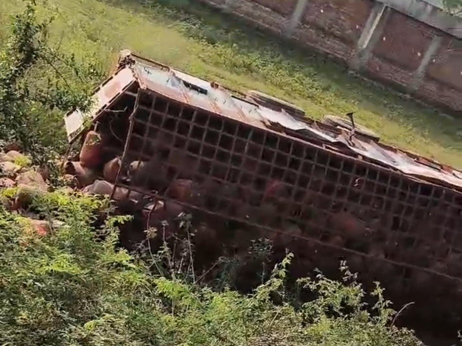 A truck loaded with 450 gas cylinders fell into a ditch