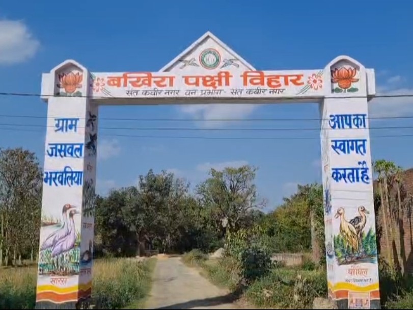 Bkhira Three peacocks and a jungle fowl were found in Bakhira Bird Sanctuary