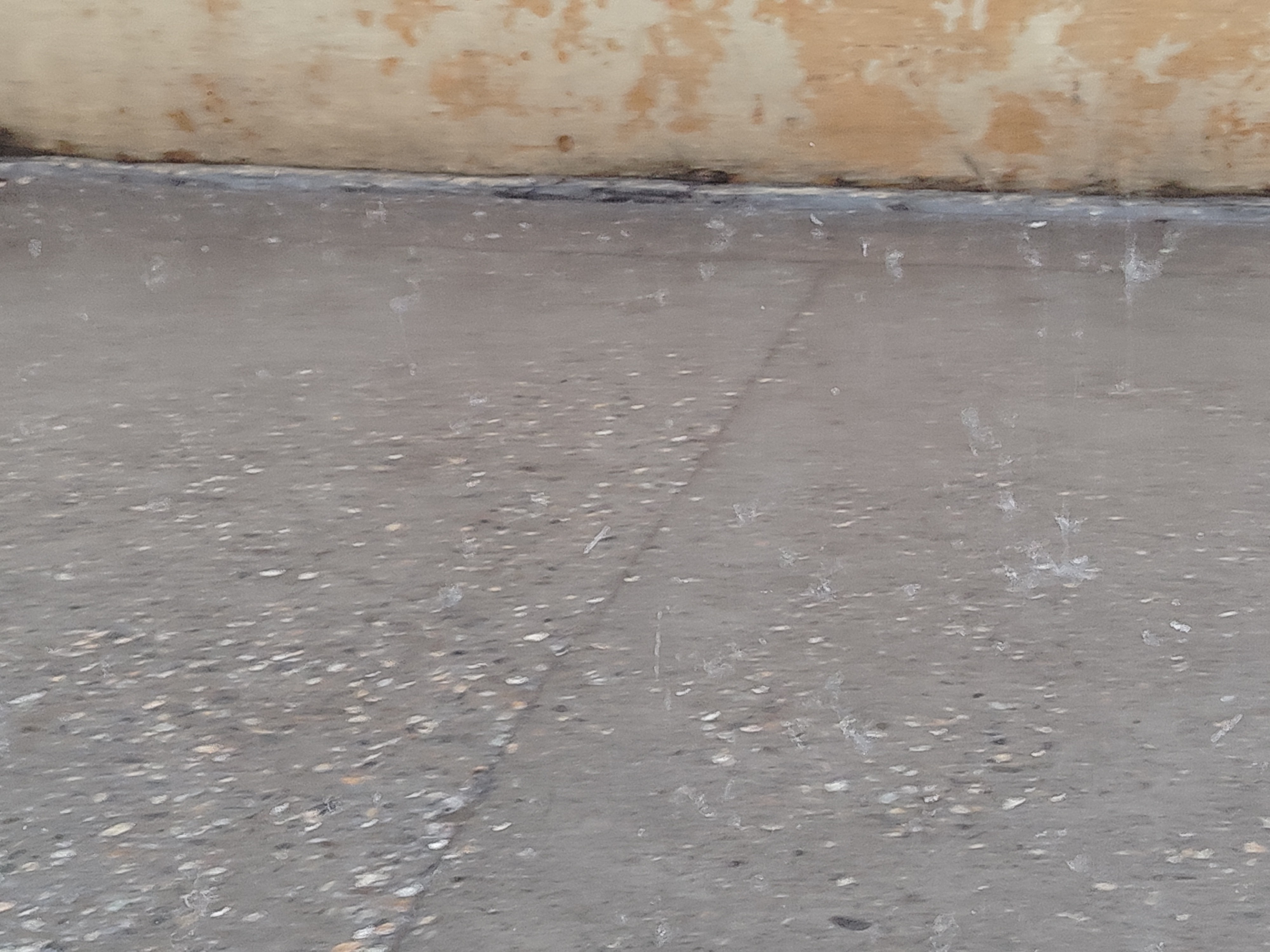 यमुनानगर में हुई बारिश।