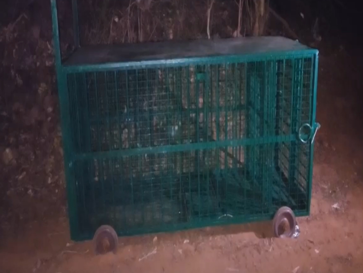 शनिवार रात से ही वन विभाग के अधिकारियों ने पिंजरा लगाकर तेंदुए की खोजबीन शुरू की है।