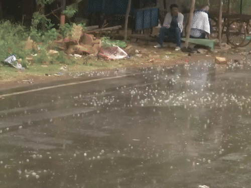 मध्य प्रदेश के ग्वालियर में सोमवार को तेज बारिश हुई।